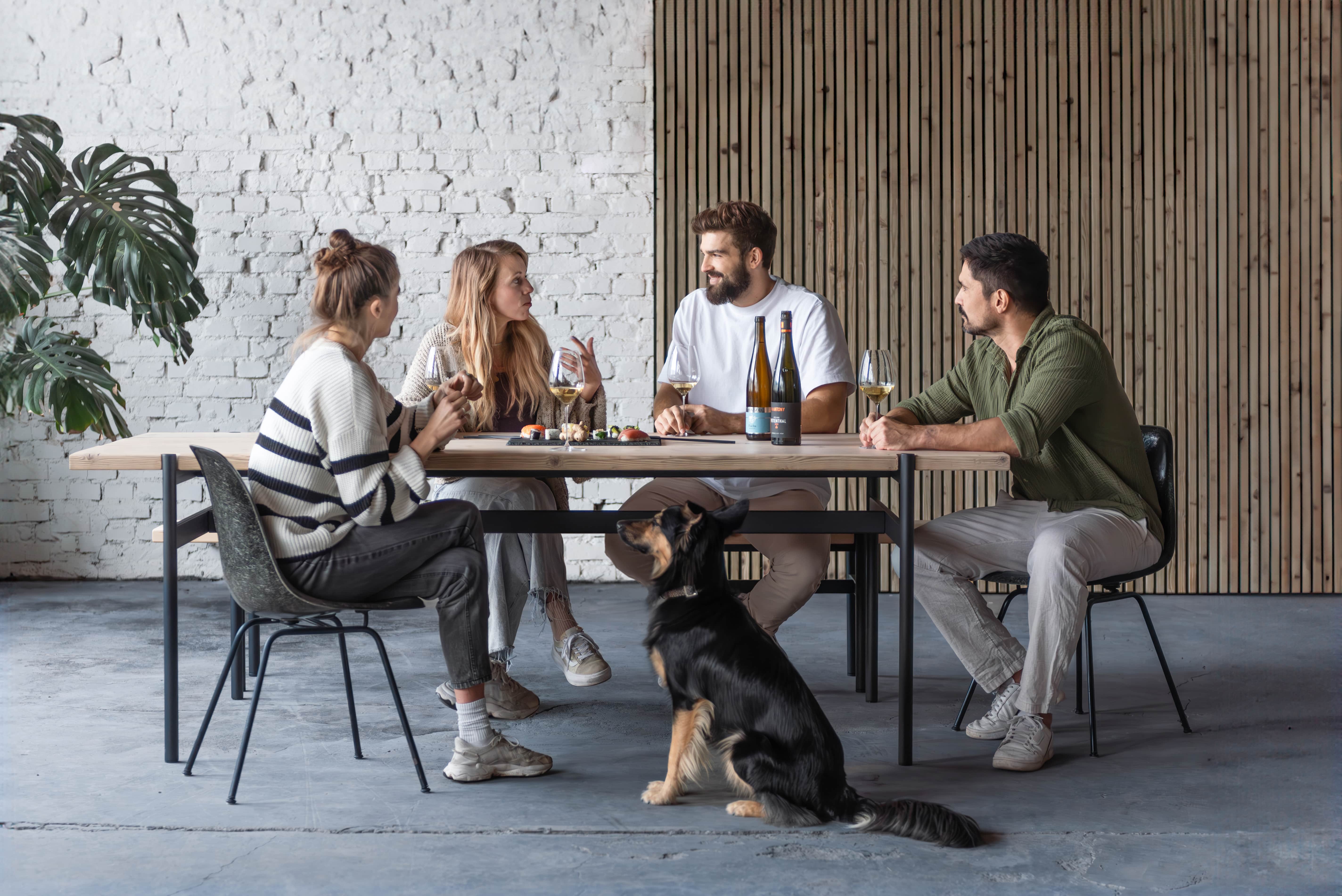 Vier Personen sitzen gemeinsam am Tisch, trinken Wein und unterhalten sich. Bei dem Tisch und der Sitzbank handelt es sich um Altholzmöbel aus Gerüstbohlen.
